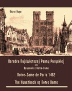 Okładka:Katedra Najświętszej Panny Paryskiej albo Dzwonnik z Notre-Dame 
