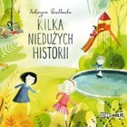 Kilka niedużych historii - Audiobook mp3