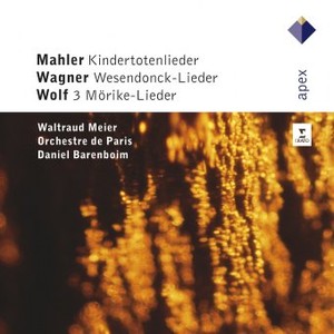 Kindertotenlieder / Wesendonck-Lieder /Lieder