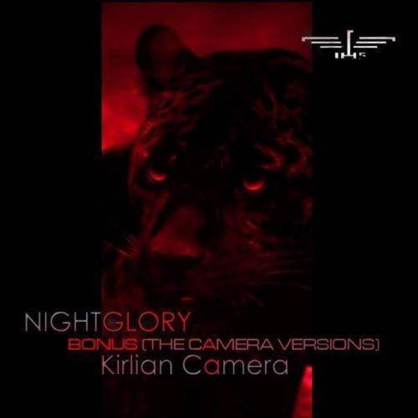 Nightglory (vinyl)