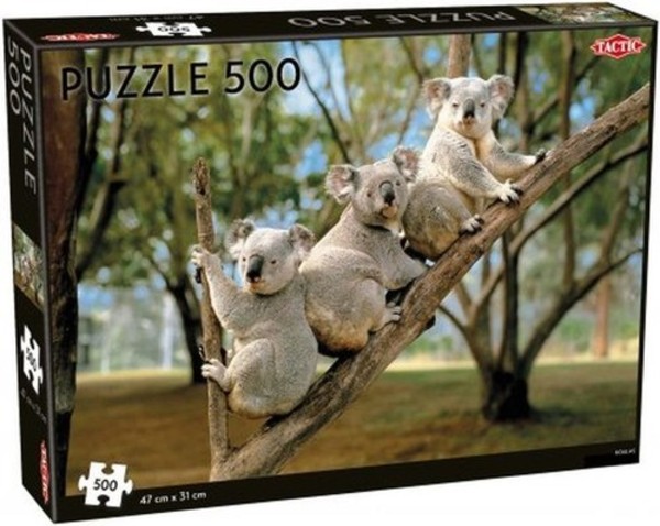 Puzzle Koale na drzewie