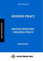 Kodeks pracy. Bezpieczeństwo i higiena pracy. Komentarz