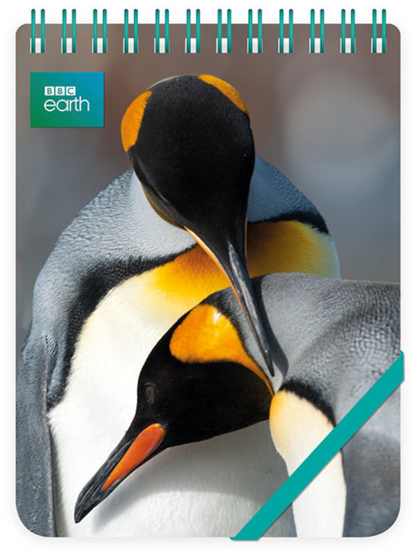 Kołonotes ozdobny King Penguins