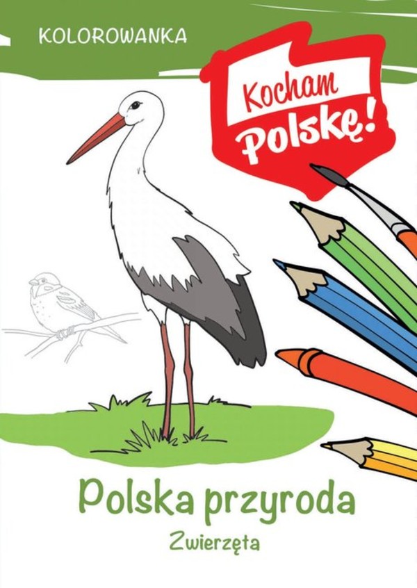 Kolorowanka. Polska przyroda: zwierzęta Kocham Polskę