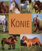 Konie