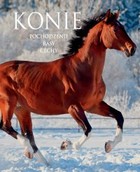 Konie - pdf Pochodzenie, rasy, cechy