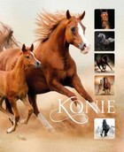 Konie - pdf