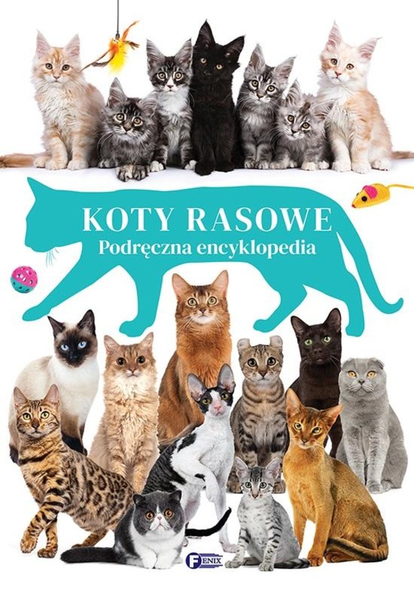 Koty rasowe Podręczna encyklopedia