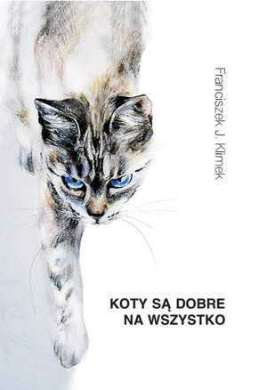 Koty są dobre na wszystko