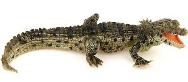 Figurka Krokodyl młody
