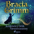 Królewicz Orlik Nieustraszony - Audiobook mp3