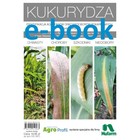 Kukurydza - chwasty, choroby, szkodniki, niedobory - pdf
