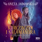 Kurczaczek i salamandra - Audiobook mp3