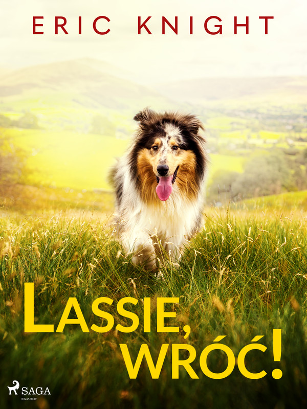 Lassie, wróć! - mobi, epub
