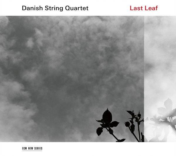 Last Leaf (vinyl)