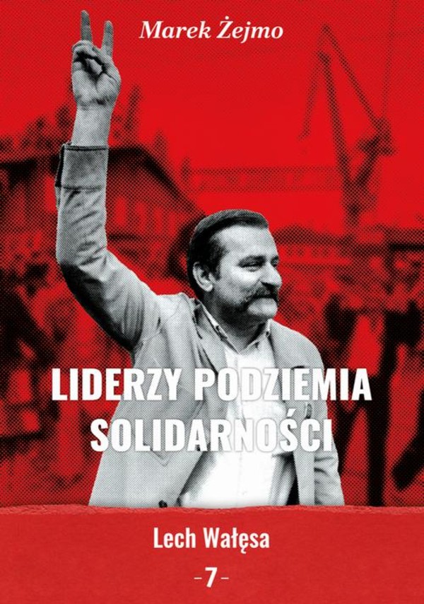 Lech Wałęsa - pdf