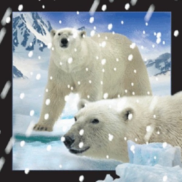 Magnes 3D Niedźwiedzie polarne w śniegu