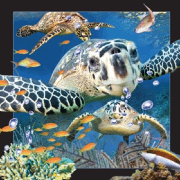 Magnes 3D - Żółw morski