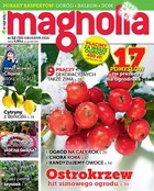 Magnolia 12/2016 - pdf