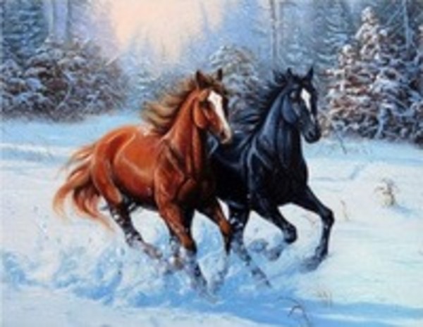 Malowanie po numerach Konie galopujące w śniegu