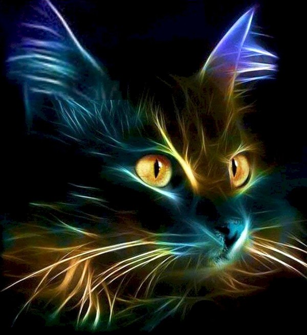 Malowanie po numerach Kot czarny elektro portret