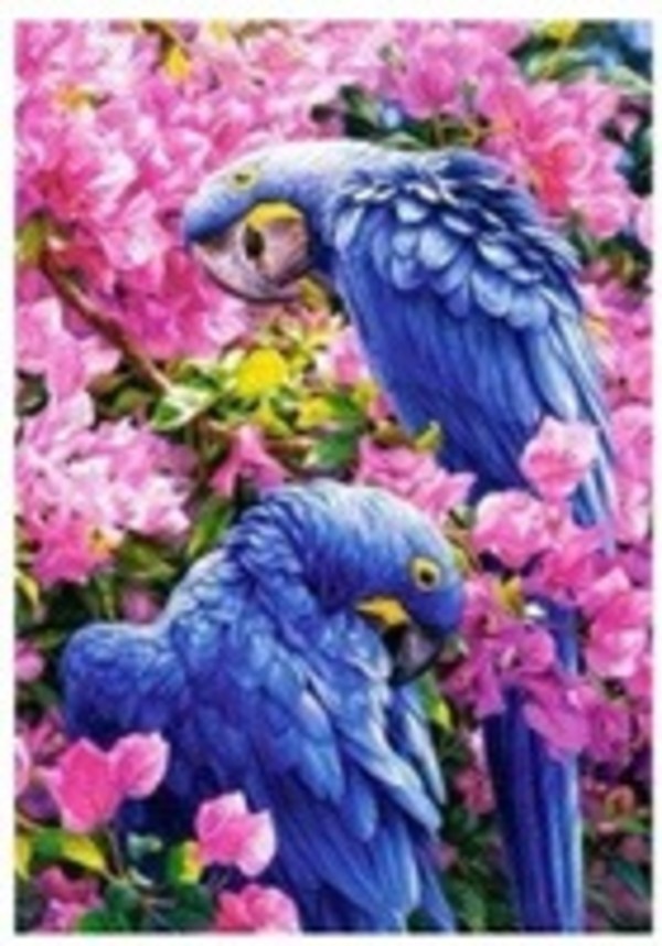 Malowanie po numerach Papugi fioletowe w kwiatach