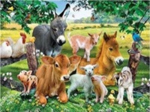 Malowanie po numerach Zwierzęta na farmie