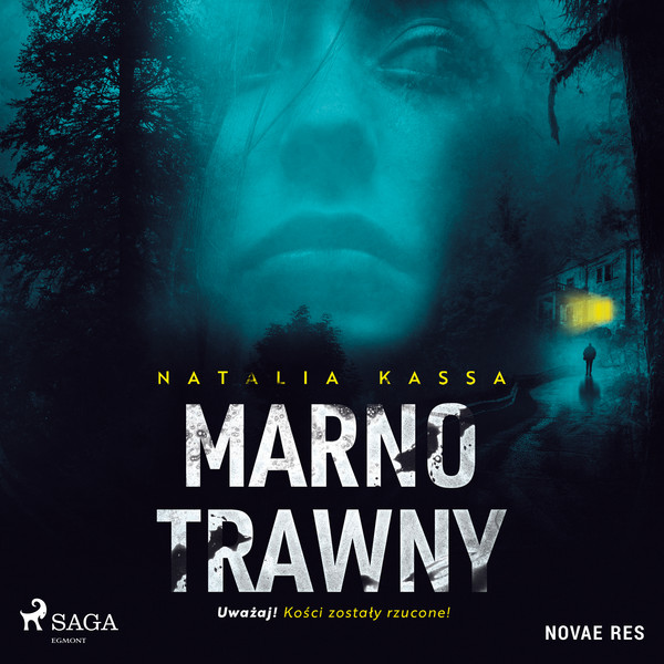 Marnotrawny - Audiobook mp3