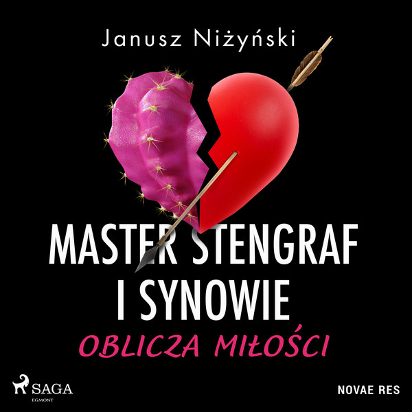 Master Stengraf i synowie. Oblicza miłości - Audiobook mp3