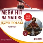 Mega hit na maturę - Audiobook mp3 Język polski 5. Pozytywizm