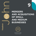 MERGERS AND ACQUSITIONS OF SMALL AND MEDIUM BUSINESSES