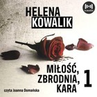 Miłość, zbrodnia, kara - Audiobook mp3