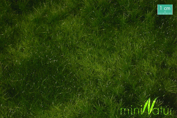 Letnia żyzna łąka (30x50 cm)