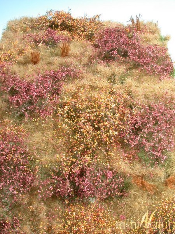 Późnojesienna dzika łąka (25x15,5 cm)