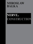Nerve Construction