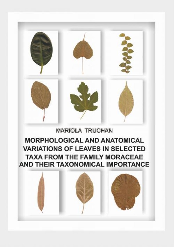 MORPHOLOGICAL AND ANATOMICAL VARIATIONS OF LEAVES IN SELECTED TAXA FROM THE FAMILY MORACEAE AND THEIR TAXONOMICAL IMPORTANCE - pdf