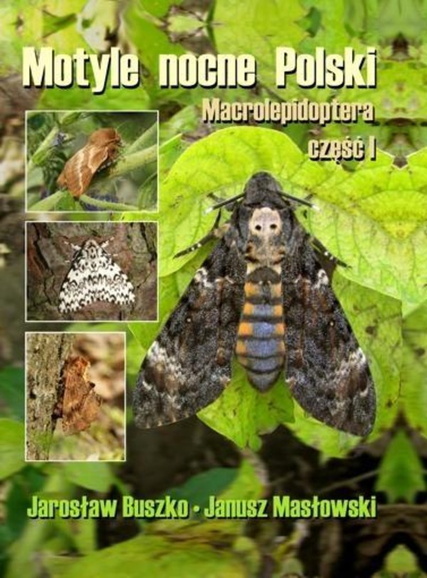 Motyle nocne Polski Macrolepidoptera część I