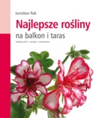 Najlepsze rośliny na balkon i taras