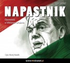 Napastnik - Audiobook mp3