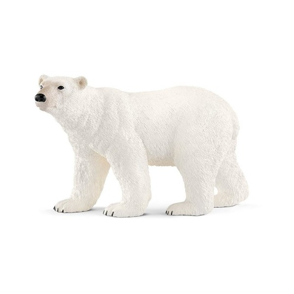 Niedźwiedź polarny 14800