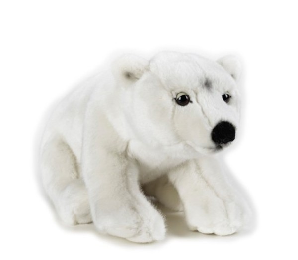Niedźwiedź polarny mały