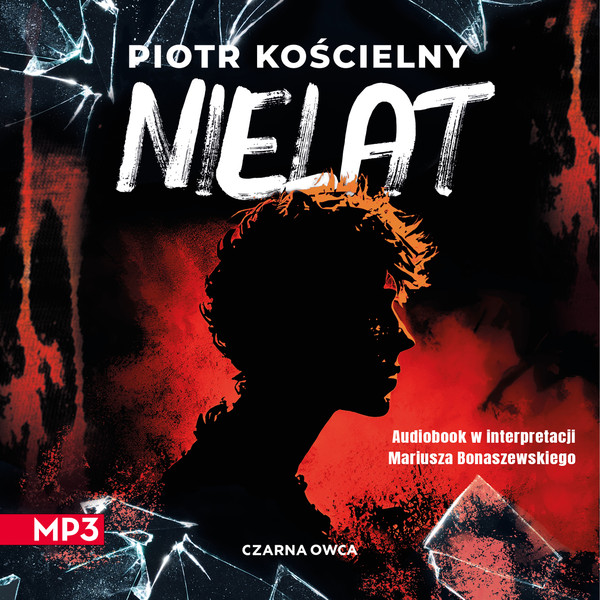 Nielat - Audiobook mp3