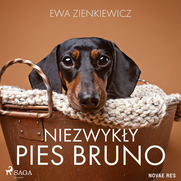 Niezwykły pies Bruno - Audiobook mp3