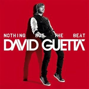 Nothing But the Beat (vinyl)
