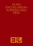 Nowa Encyklopedia Powszechna T.6