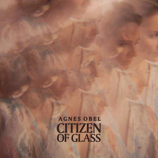 Citizen Of Glass (vinyl)