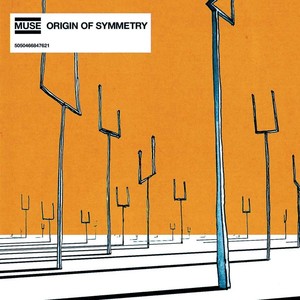 Origin Of Symmetry (vinyl)