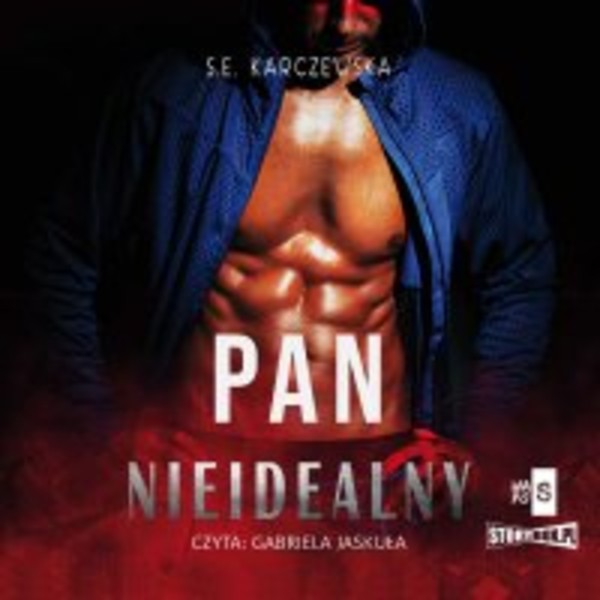 Pan Nieidealny - Audiobook mp3
