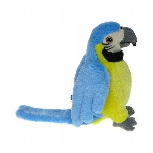 Maskotka Papuga niebieska 25 cm