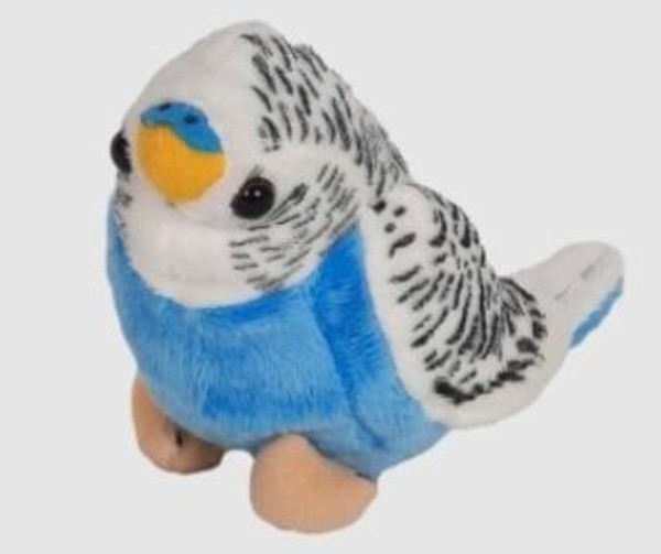 Maskotka Papużka niebieska 14 cm